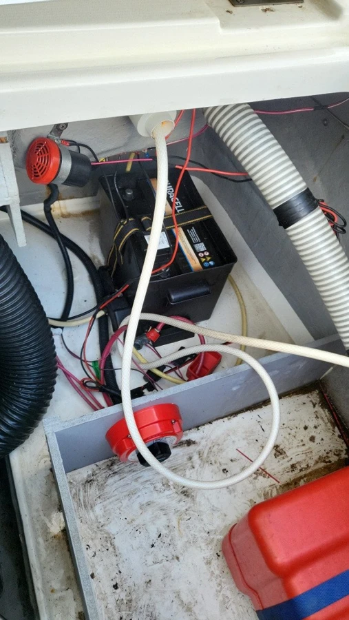 BAYLINER 215 — photo 21